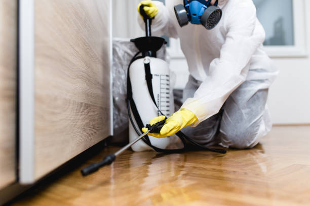 Best Wasp Removal Services  in Harrisburg, NC