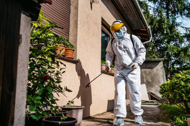 Best Flea Control Services  in Harrisburg, NC
