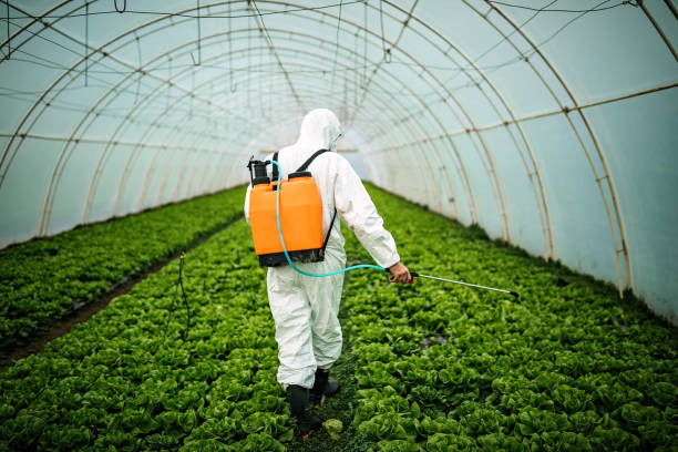 Best Best Pest Control Companies  in Harrisburg, NC