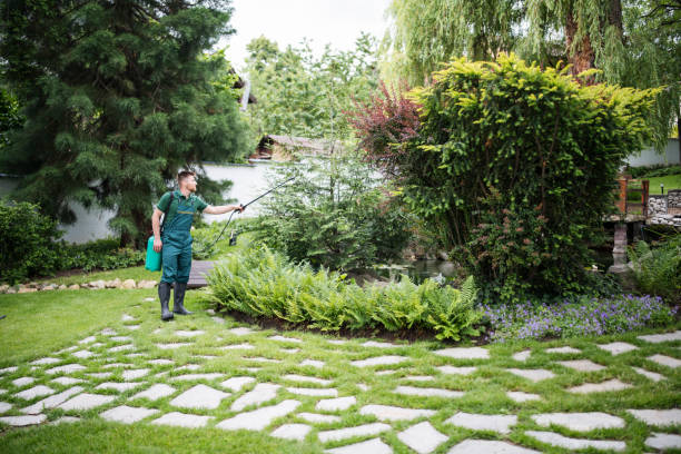 Best Affordable Pest Control Services  in Harrisburg, NC