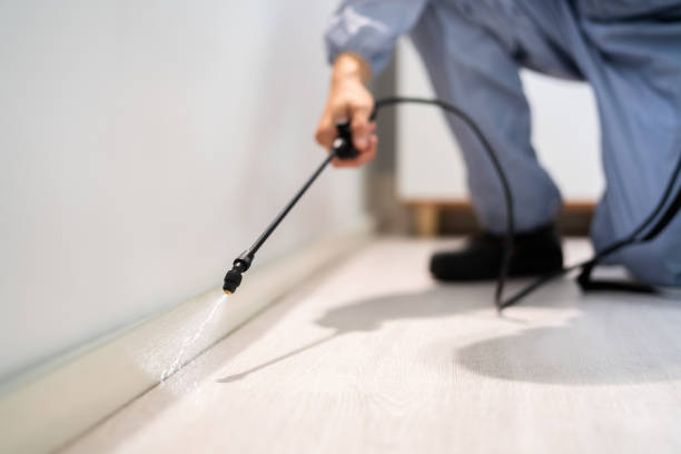Reliable Harrisburg, NC Pest Control Solutions