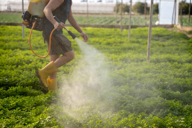 Professional Pest Control in Harrisburg, NC
