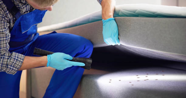 Best Emergency Pest Control  in Harrisburg, NC