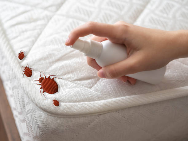 Best Pest Prevention Services  in Harrisburg, NC