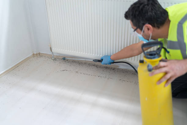 Best Local Pest Control Services  in Harrisburg, NC