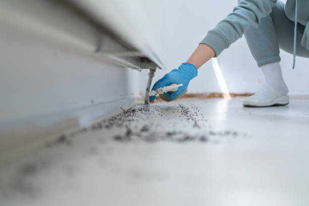 Best Exterminator Services  in Harrisburg, NC