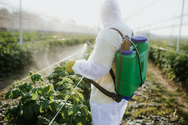 Best Flea Control Services  in Harrisburg, NC